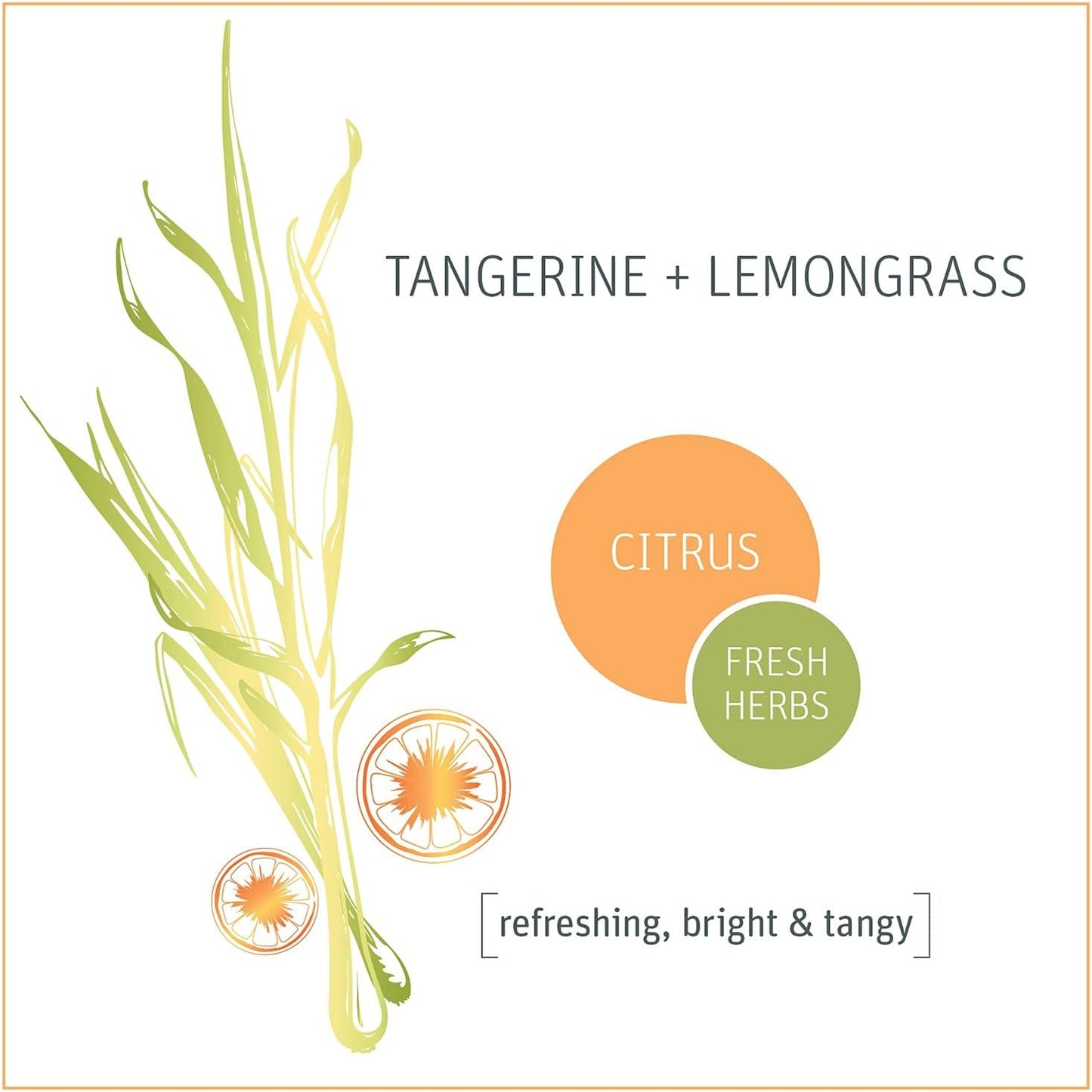 Tangerine Dishwasher Pods 24 LD