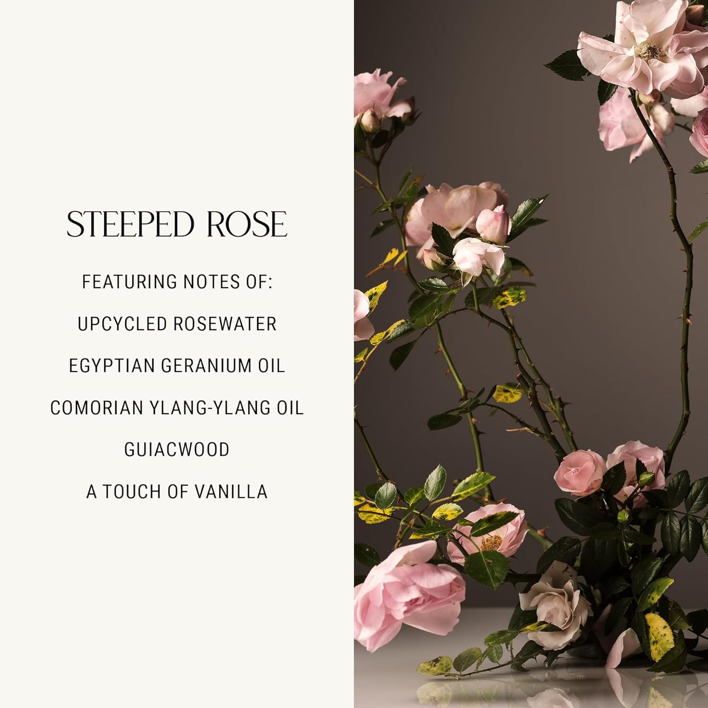 Homecourt Dish Soap, Dishwashing Liquid with Clean Ingredients, Non-Toxic & Skin-Safe, Safe for People & Pets, Steeped Rose, 16 fl oz