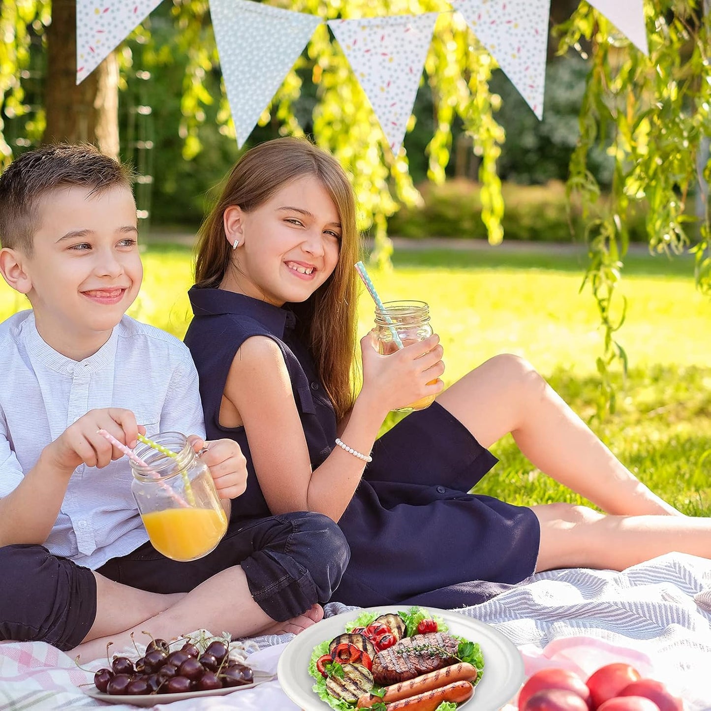 Vplus 150 Pack Compostable Disposable Paper Plates 10.25 inch Super Strong Paper Plates 100% Bagasse Natural Biodegradable Eco-Friendly Sugarcane(white)