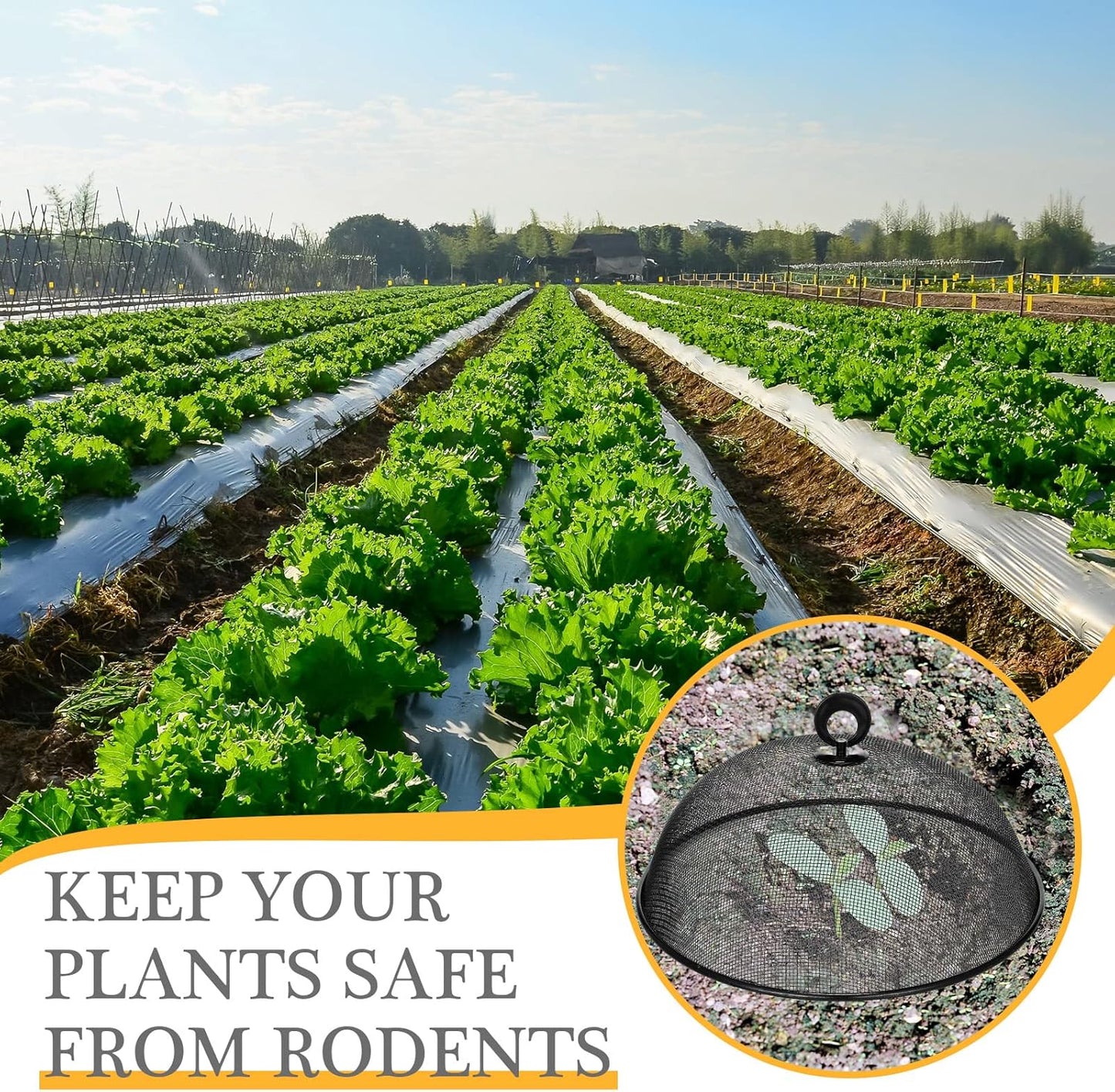 Gerrii 6 Pcs Metal Mesh Food Cover Outdoor Mesh Food Tents Dome Screen Plate Covers for Dinner Plates Reusable Fruit Fly Nets Picnic Food Umbrella for Table, BBQ, Camping, Party (Black,11 Inch)